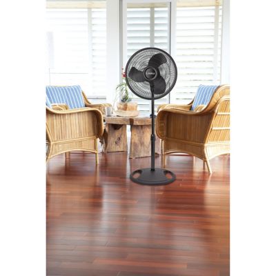 Image showing  16 in. Oscillating Stand Fan, Black