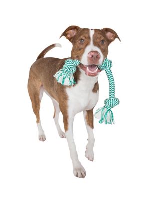 Image showing  Pet Medium 20-in EXTRA FRESH 3 Knot Tug Dog Toy