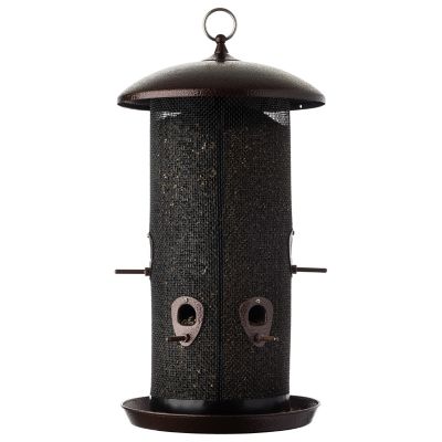 More Birds Giant Combo Screen Bird Feeder, 9.25 L X 9.25 W X 18 H