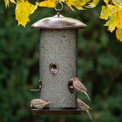 Image showing  11.2 lb. Giant Combo Screen Bird Feeder