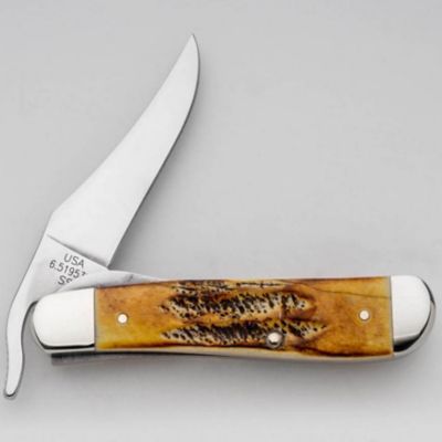 Image showing  2.69 in. Case 6.5 BoneStag RussLock Pocket Knife