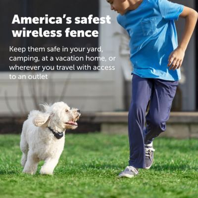 Image showing  3/4-Acre Stay and Play Wireless Fence with Replaceable Battery Collar