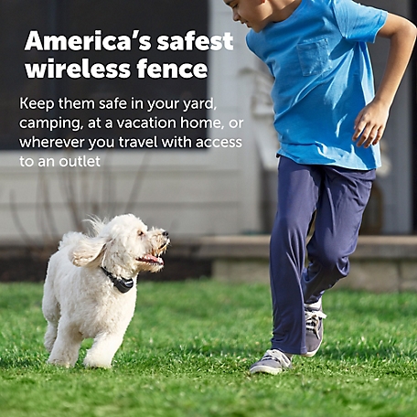 PetSafe Wireless Electric Dog Fence