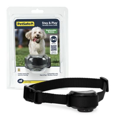 setting up petsafe wireless fence