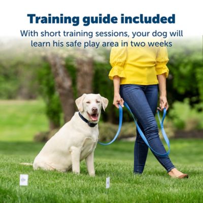 Image showing  Stay and Play Wireless Fence Replaceable Battery Pet Collar Receiver