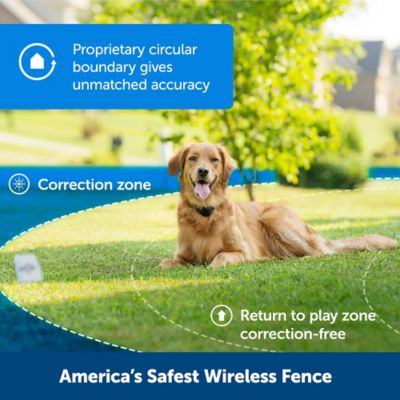 Image showing  Stay and Play Wireless Fence Replaceable Battery Pet Collar Receiver
