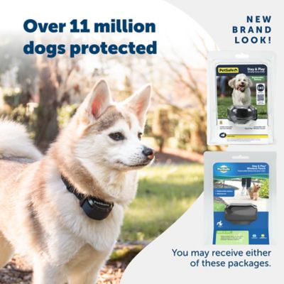 Image showing 6 th PetSafe Stay and Play Wireless Fence Replaceable Battery Pet Collar Receiver