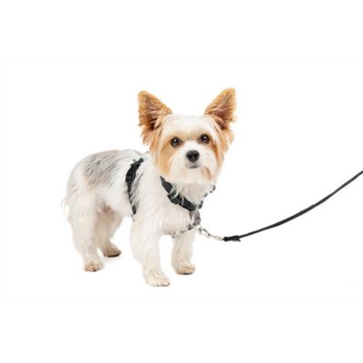 PetSafe 3-in-1 Dog Harness and Car Restraint