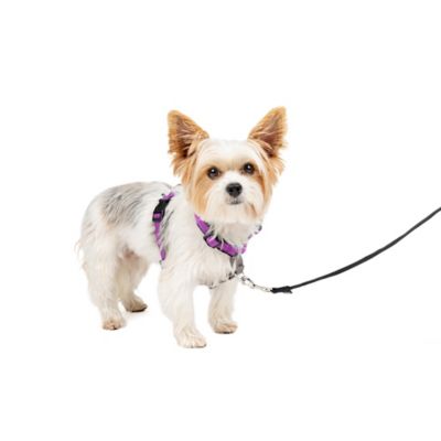 PetSafe 3-in-1 Dog Harness and Car Restraint