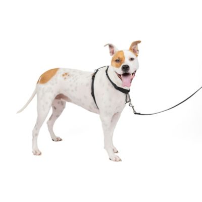PetSafe 3-in-1 Dog Harness and Car Restraint