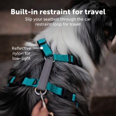 Image showing  3-in-1 Dog Harness and Car Restraint