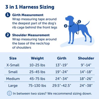 Image showing  3-in-1 Dog Harness and Car Restraint