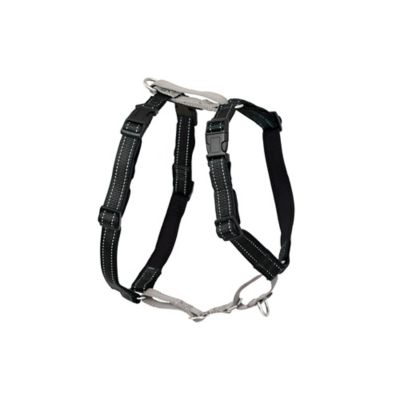 Image showing 7 th PetSafe 3-in-1 Dog Harness and Car Restraint