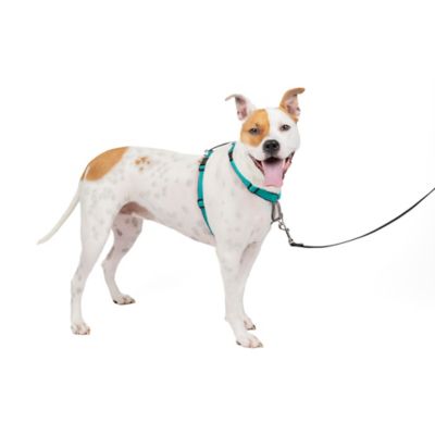 Kurgo Auto Zip Line Dog Restraint System at Tractor Supply Co