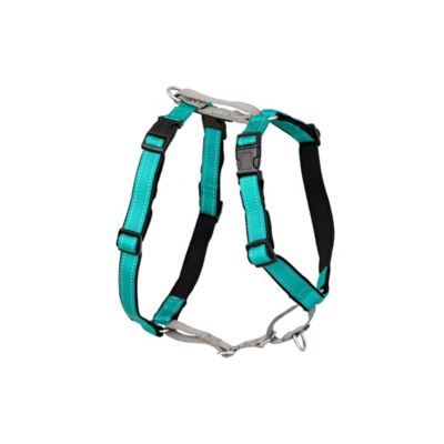 Image showing 7 th PetSafe 3-in-1 Dog Harness and Car Restraint