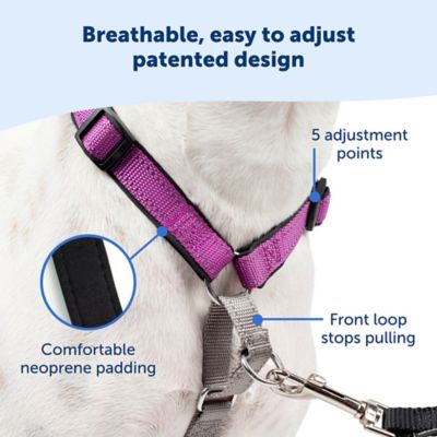 Image showing  3-in-1 Dog Harness and Car Restraint