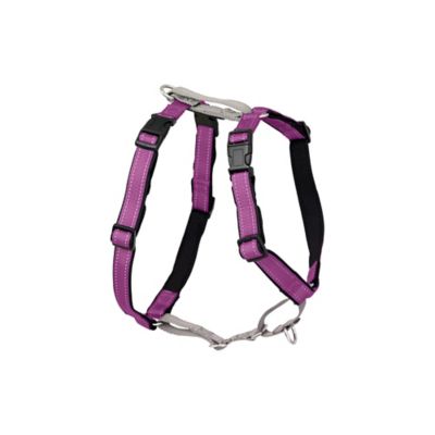 Image showing 7 th PetSafe 3-in-1 Dog Harness and Car Restraint