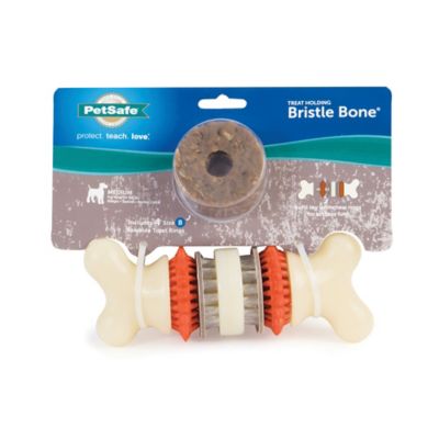 bristle bone
