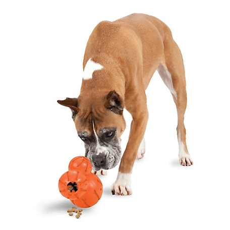 PetSafe Sportsmen Barnacle Dog Chew Toy, Large