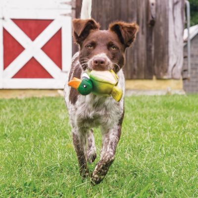 Image showing  Sportsmen Squeeze Meeze Duck Dog Toy