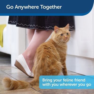 Image showing  Disposable Cat Litter Box