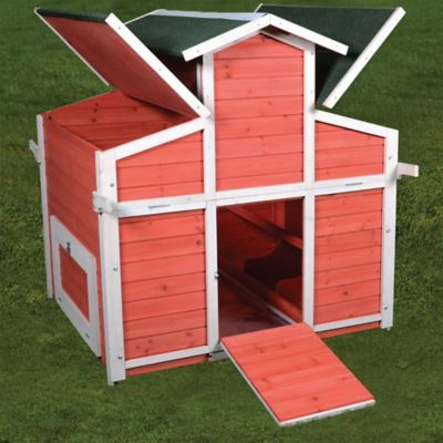 Image showing  Little Red Hen Big Red Barn Chicken Coop, 2 to 3 Chicken Capacity