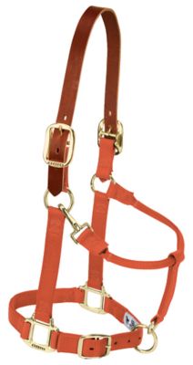 1 Leather Overlay Adjustable Nylon Halter with Leather Crown