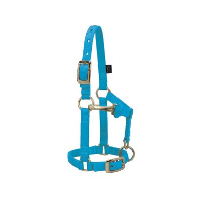 Weaver Leather Adjustable Horse Halter, Average, Blue Ombre at Tractor  Supply Co.