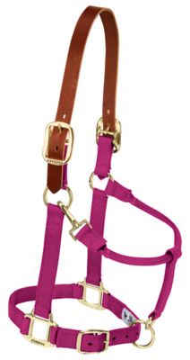 Product color Raspberry