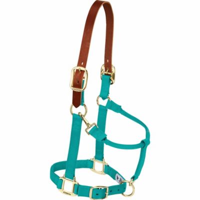 Weaver Leather Nylon Adjustable Horse Halter with Leather Breakaway Crown