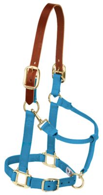 Weaver Equine Nylon Adjustable Horse Halter with Leather Breakaway Crown