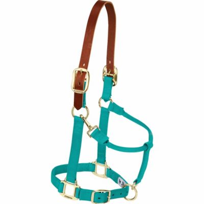 Weaver Equine Nylon Adjustable Horse Halter with Leather Breakaway Crown
