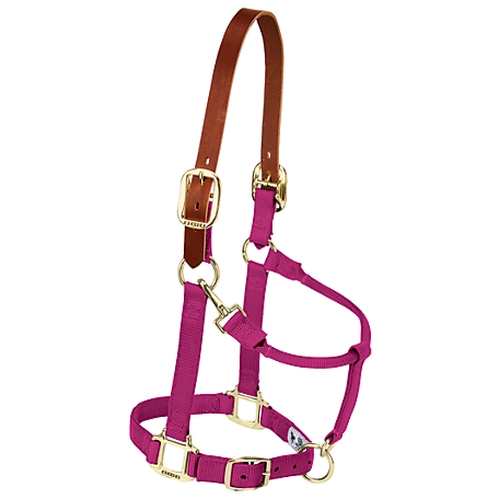 Weaver Leather Nylon Adjustable Horse Halter with Leather Breakaway Crown  at Tractor Supply Co.