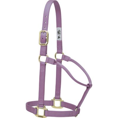 Image showing  Original Non-Adjustable Nylon Horse Halter