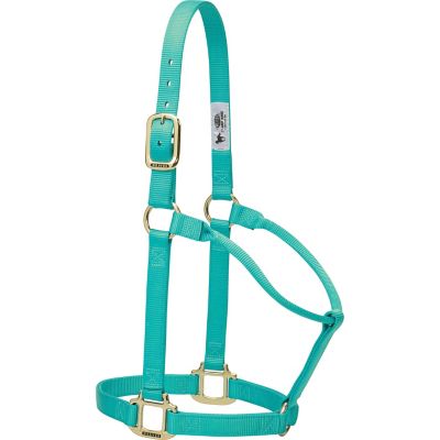 Weaver Equine Original Non-Adjustable Nylon Horse Halter