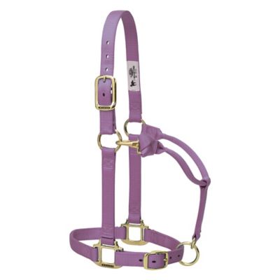 Weaver Equine Original Adjustable Chin and Throat Snap Nylon Horse Halter