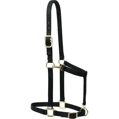 Weaver Leather Nylon Draft Adjustable Horse Halter, 1 in., 1,100 to 1,600 lb.