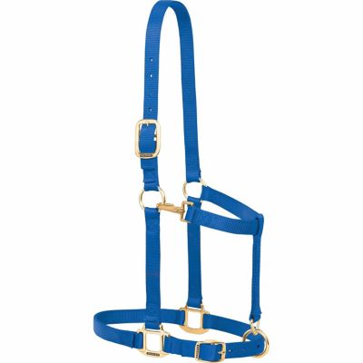 Image showing  Draft Adjustable Nylon Horse Halter, 1 in., 1,100 to 1,600 lb.