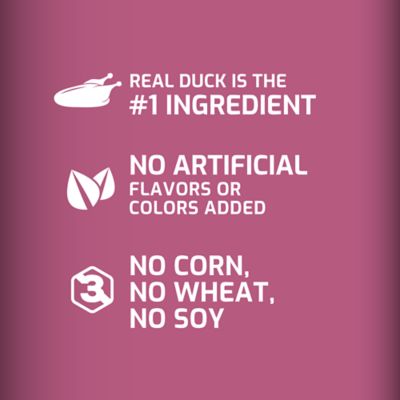 Image showing  Hip and Joint Jerky Bites Duck, Pea and Berry Recipe Dog Treats, 20 oz.