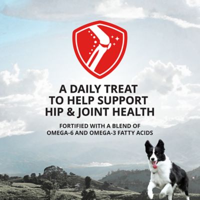 Image showing  Hip and Joint Supplement Treats for Dogs, Chicken and Sweet Potato Recipe, 3 lb.