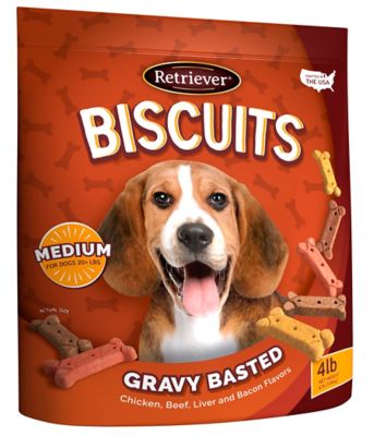 Retriever Gravy-Basted Flavor Dog Biscuit Treats, 4 lb.