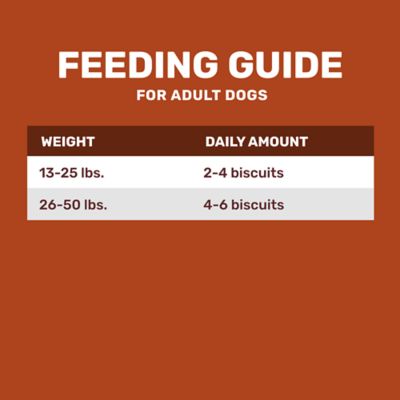 Image showing  Gravy-Basted Flavor Dog Biscuit Treats, 4 lb.