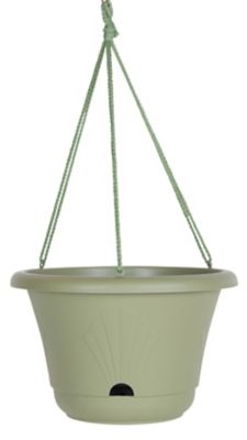 Bloem Lucca Self Watering Hanging Basket