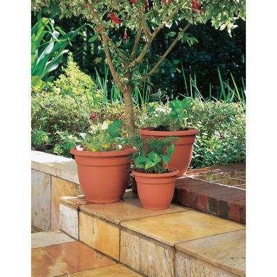 Image showing  Plastic Ariana Self-Watering Planter