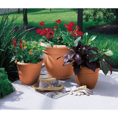 Image showing  Plastic Ariana Self-Watering Planter