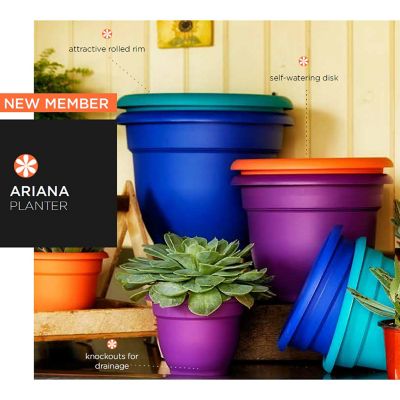 Image showing  Plastic Ariana Self-Watering Planter