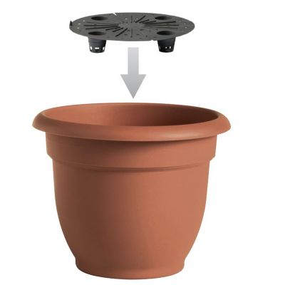 Image showing 6 th Bloem Plastic Ariana Self-Watering Planter