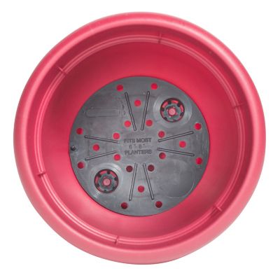 Image showing 7 th Bloem Plastic Ariana Self-Watering Planter