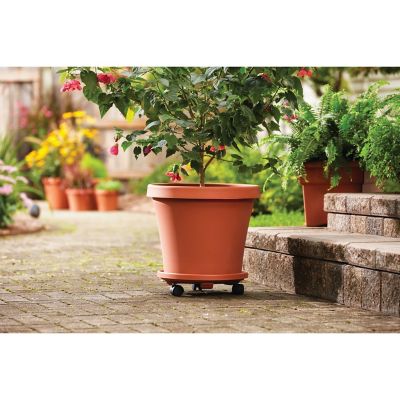 Image showing  Plastic Terra Pot Planter