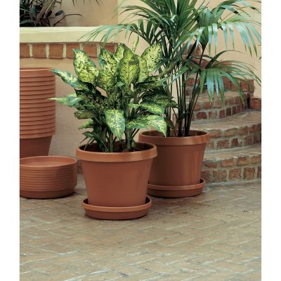 Image showing  Plastic Terra Pot Planter